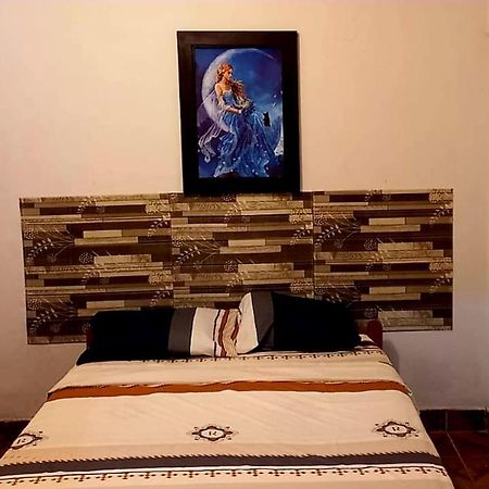 فندق Backpacker Kitara House تارابوتو المظهر الخارجي الصورة