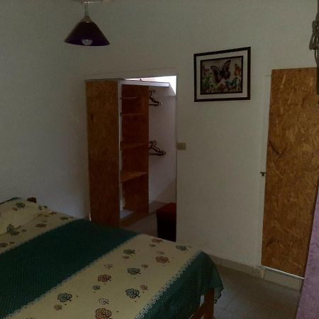 فندق Backpacker Kitara House تارابوتو المظهر الخارجي الصورة