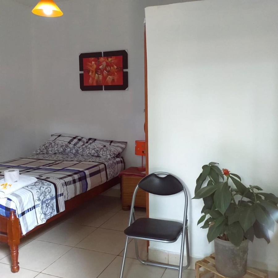 فندق Backpacker Kitara House تارابوتو المظهر الخارجي الصورة