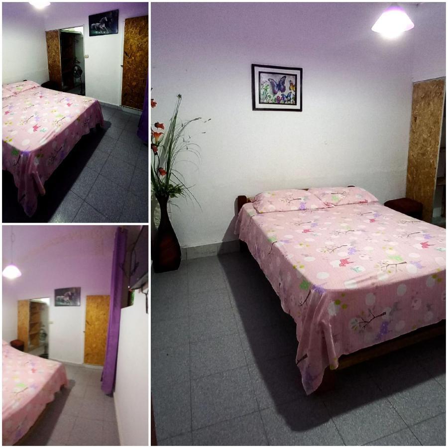 فندق Backpacker Kitara House تارابوتو المظهر الخارجي الصورة